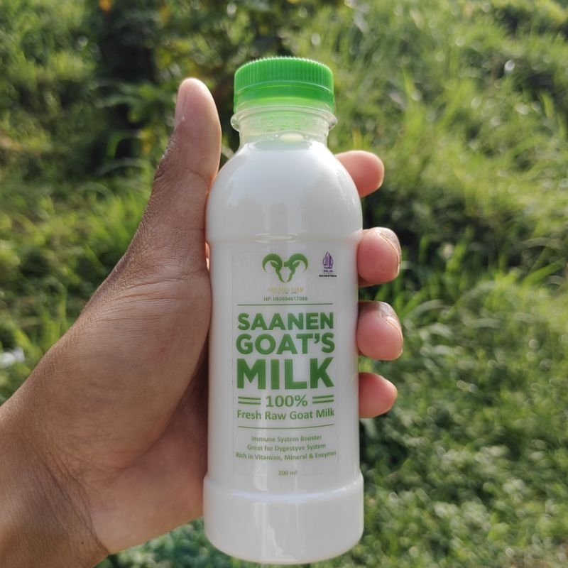 

Saanen Goat's Milk 100% Fresh Raw susu kambing pasteurisasi original dan varian rasa