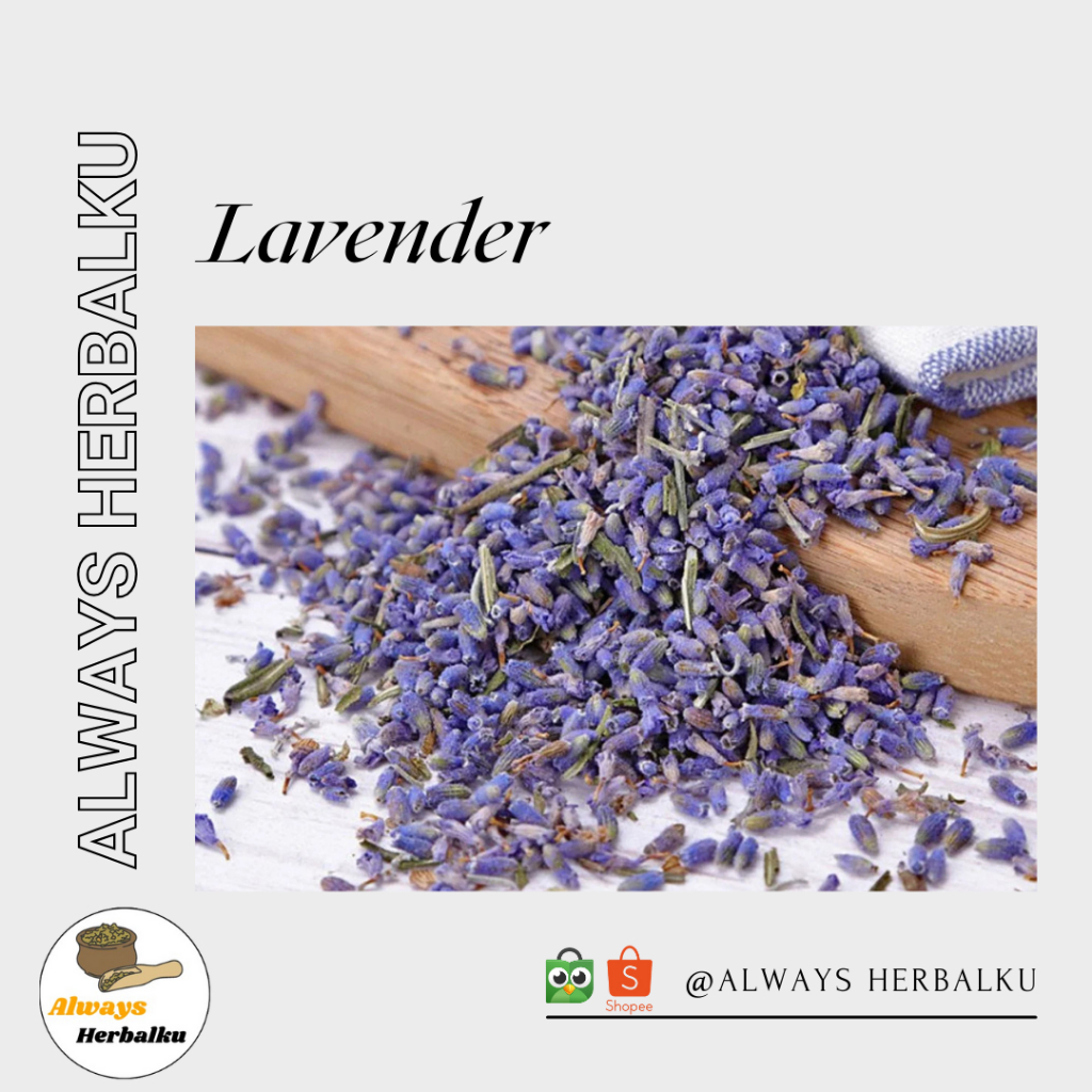 

Lavender / lavender tea / lavender kering / lavandula (100gr)