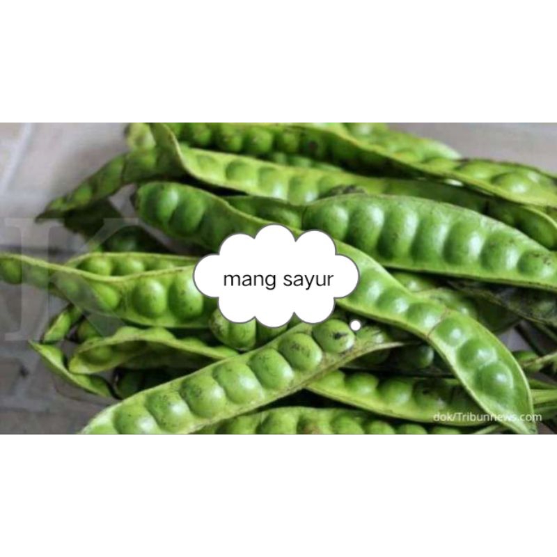 

sayur pete petai per papan