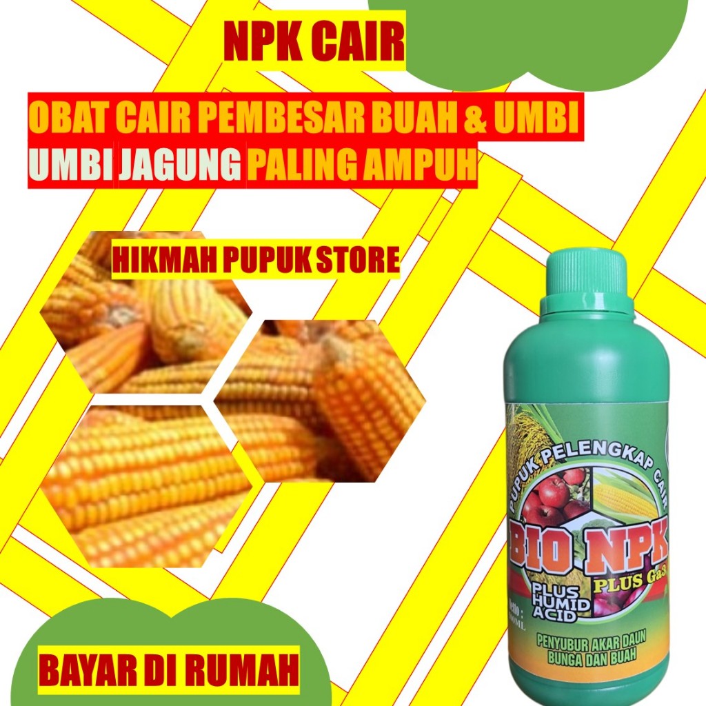 Pupuk Cair Tanaman Jagung, Pupuk Jagung Agar Berbuah Cepat Memperbanyak Batang Bunga Dan Buah Tanama