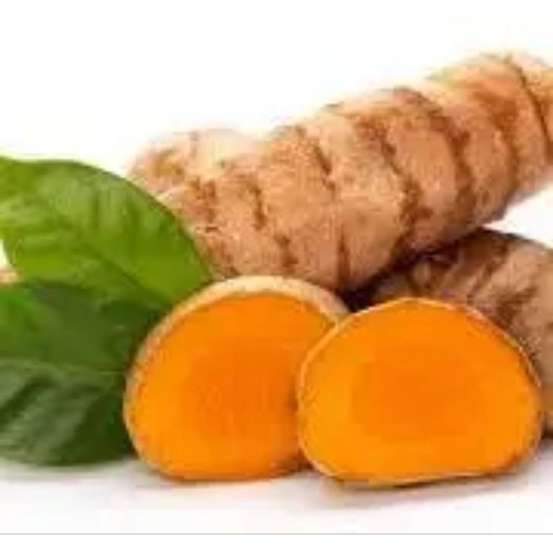 

kunyit segar 500gr.1kg