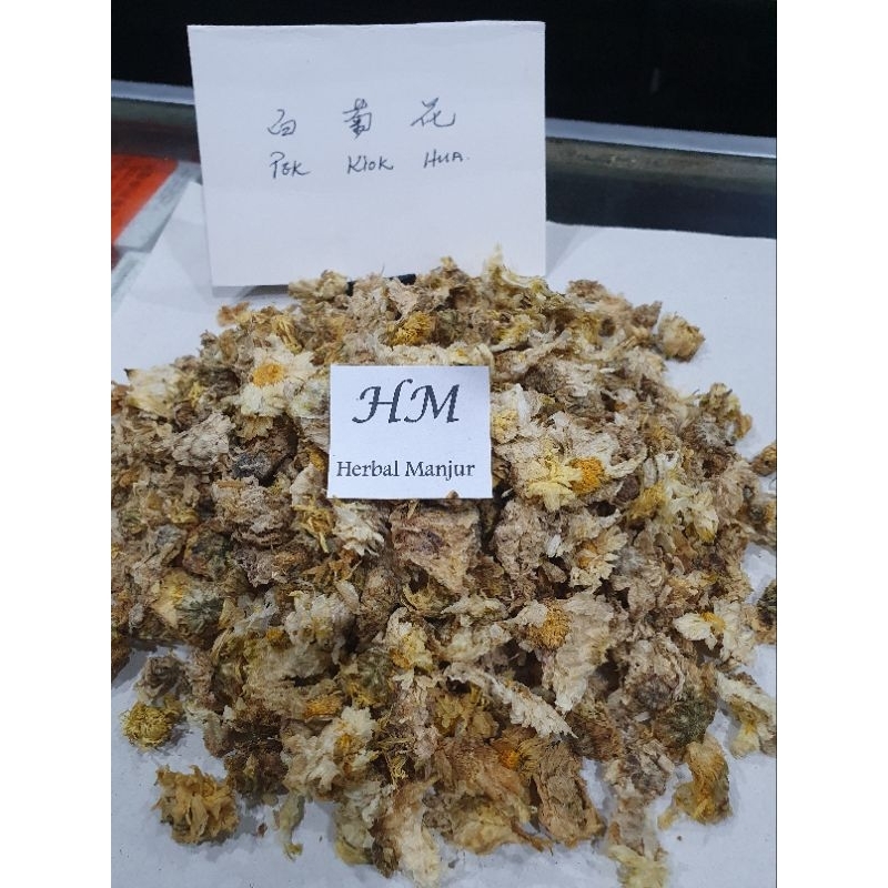 

Bunga Chrysanthemum / Kiok Hua