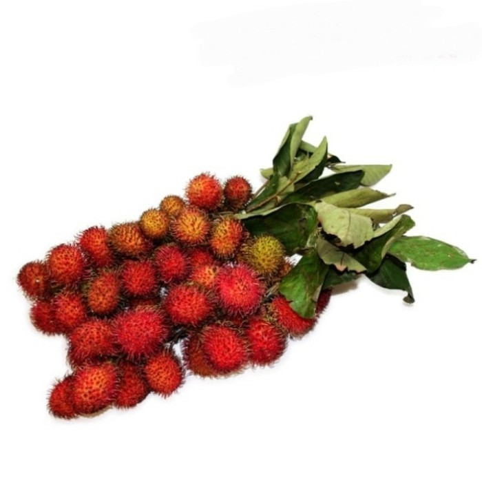 

PASAR SEGAR - BUAH RAMBUTAN 2 IKAT