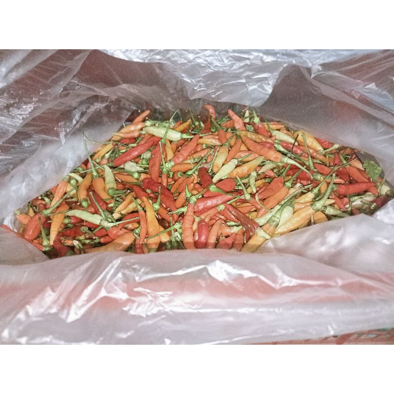 

Cabai rawit 500gram