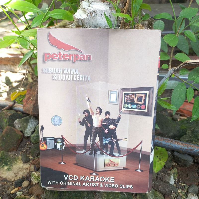 dvd peterpa - sebuah nama sebuah cerita