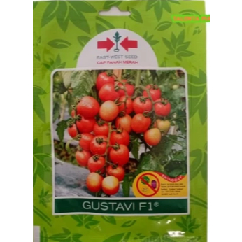 BENIH/BIBIT TOMAT GUSTAVI F1 150 BUTIR