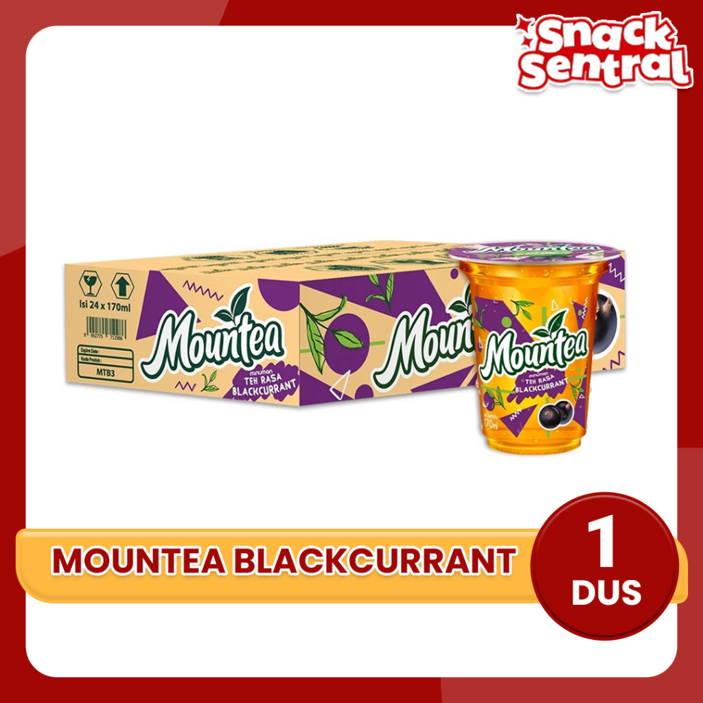 

Mountea Blackcurrant - 170ml [24 pcs]