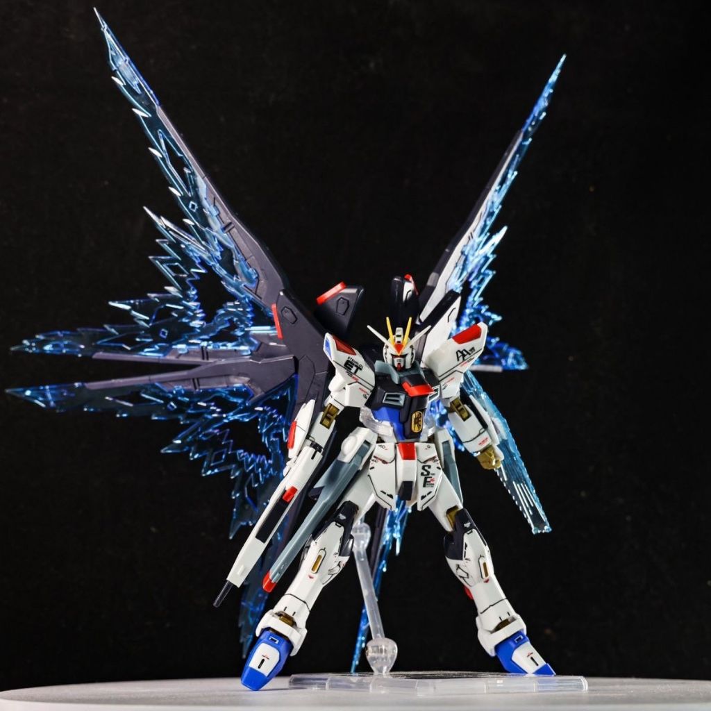 RB Gaoke 201 HG 1/144 Strike Freedom Revive Fighter Mode Kit