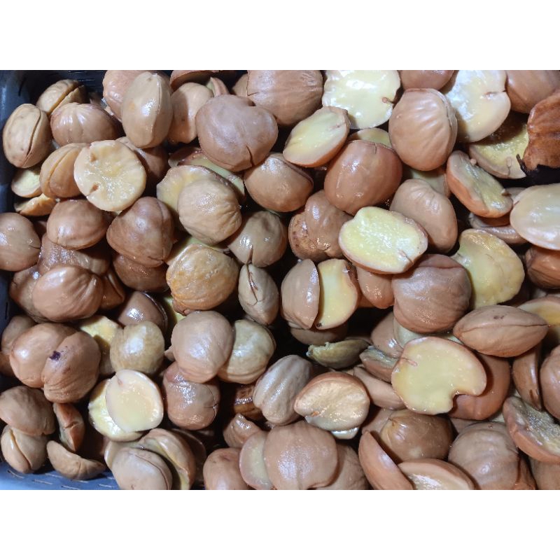 

jengkol rebus segar 250gr