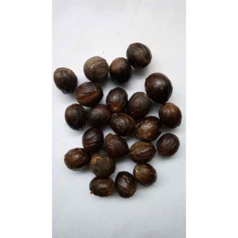 

BIJI PALA 100 GRAM | BUAH PALA | NUTMEG