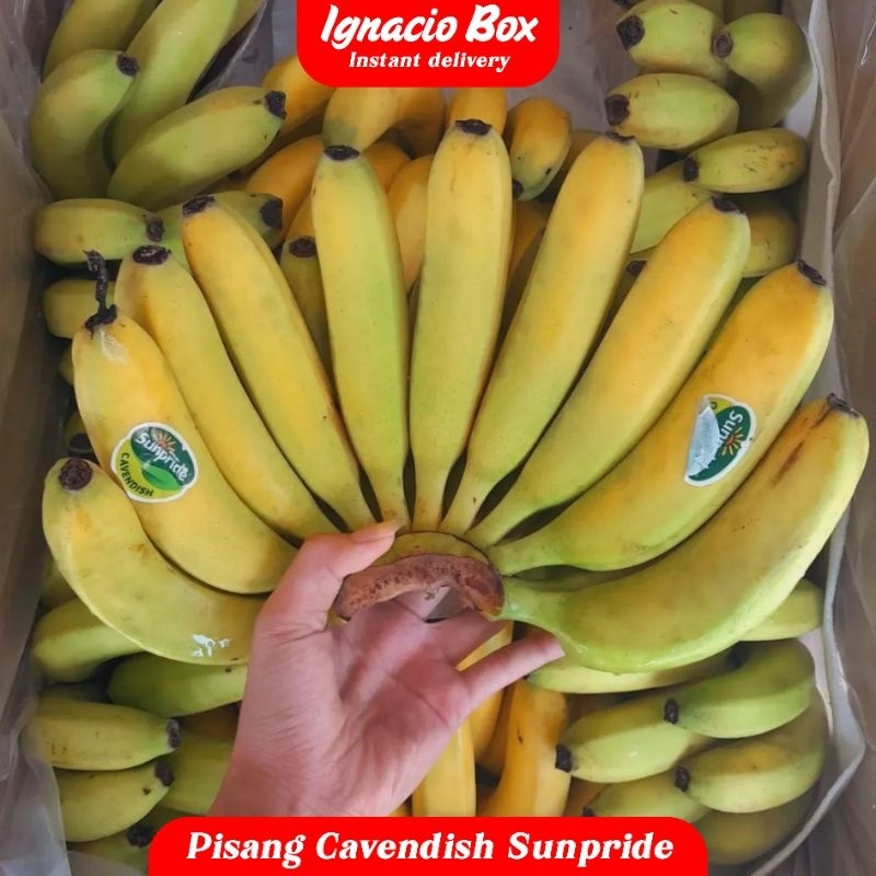 

Pisang Cavendish Sunpride untuk BAYI IgnacioBox Fresh Manis