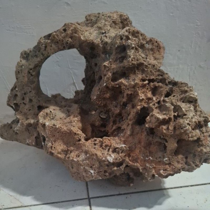 batu karang gunung bolong tengah