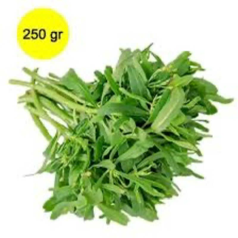 

INSTAN DAUN GINSENG 250gr