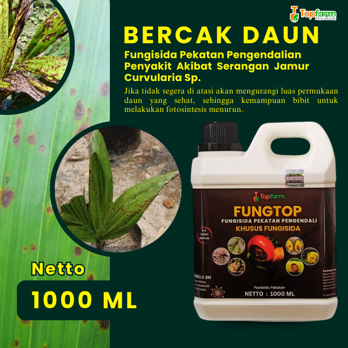 Obat Bercak Daun Bibit Sawit / Obat Karat Daun Kurma / Obat Karat Daun Cabe / Obat Karat Daun Bawang