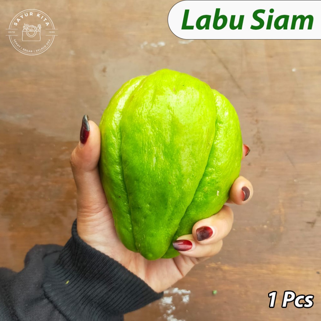 

Labu Siam Besar 1pc | sayurkita_id