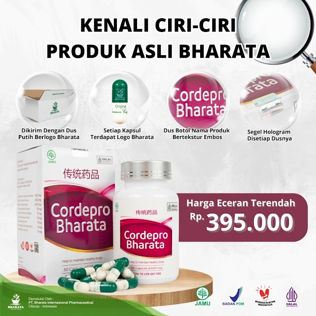 Cordepro Bharata - Obat Herbal Alami Original Bharata BPOM MUI