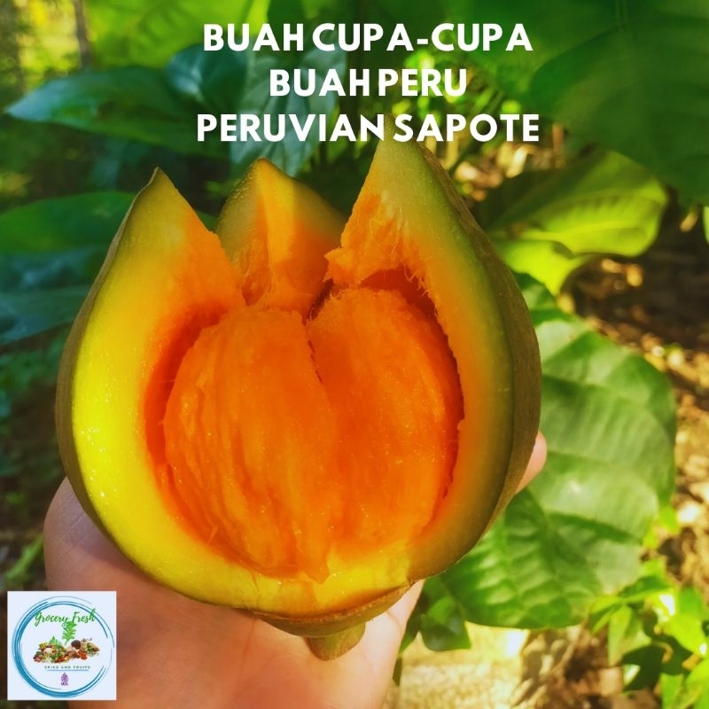 

Buah Peruvian Sapote Buah Cupa-Cupa Sawo Peru