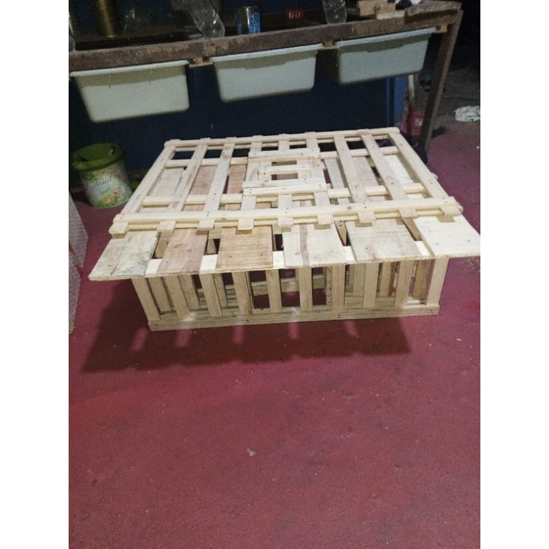 DONGDANG LIPAT PLUS TATAKAN MERPATI BURUNG DARA KANDANG