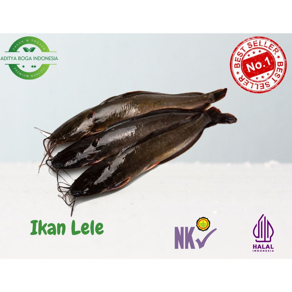 

Ikan Lele Fresh (Sudah keadaan bersih) berat ikan ditimbang hidup 950gr - 1kg