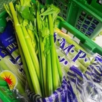 

Seledri Stik Impor 10kg Celery Stick Import China