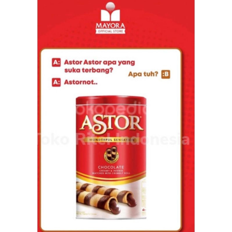 

ASTOR DOUBLE 330gr