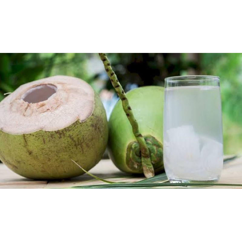 

SARI NIRA KELAPA PAKET 2 BTL
