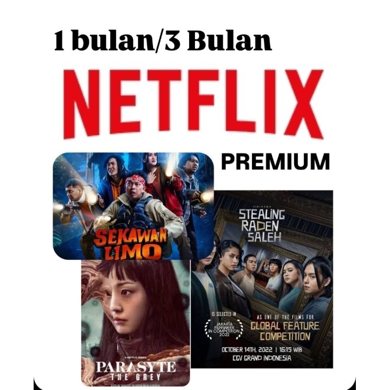 netflix PremiumPrivate
