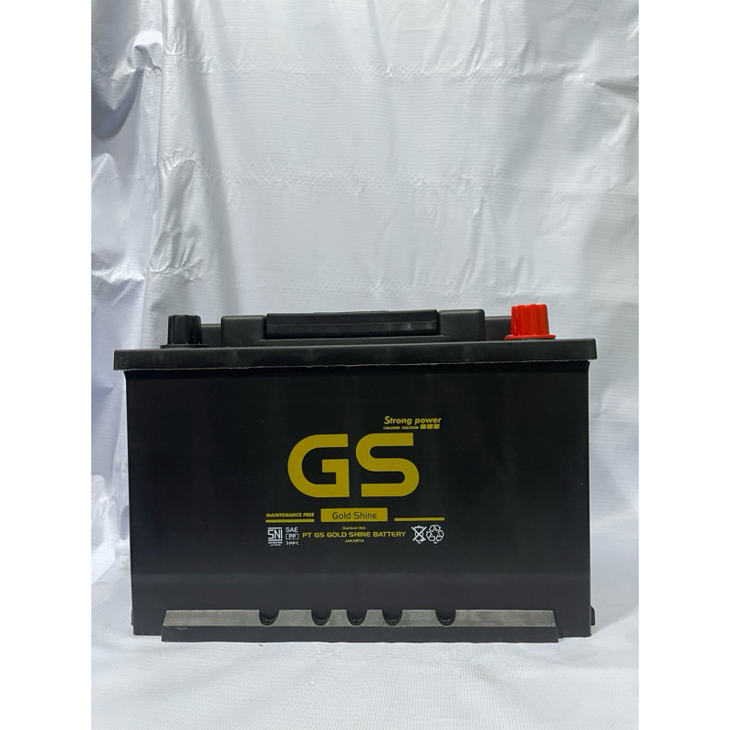 GS Gold Shine 58024 (LN3)