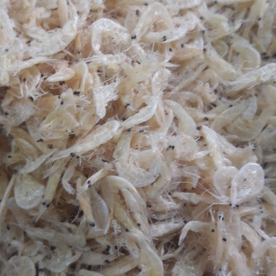 

ikan asin REBON ASIN KASAR 500 gr