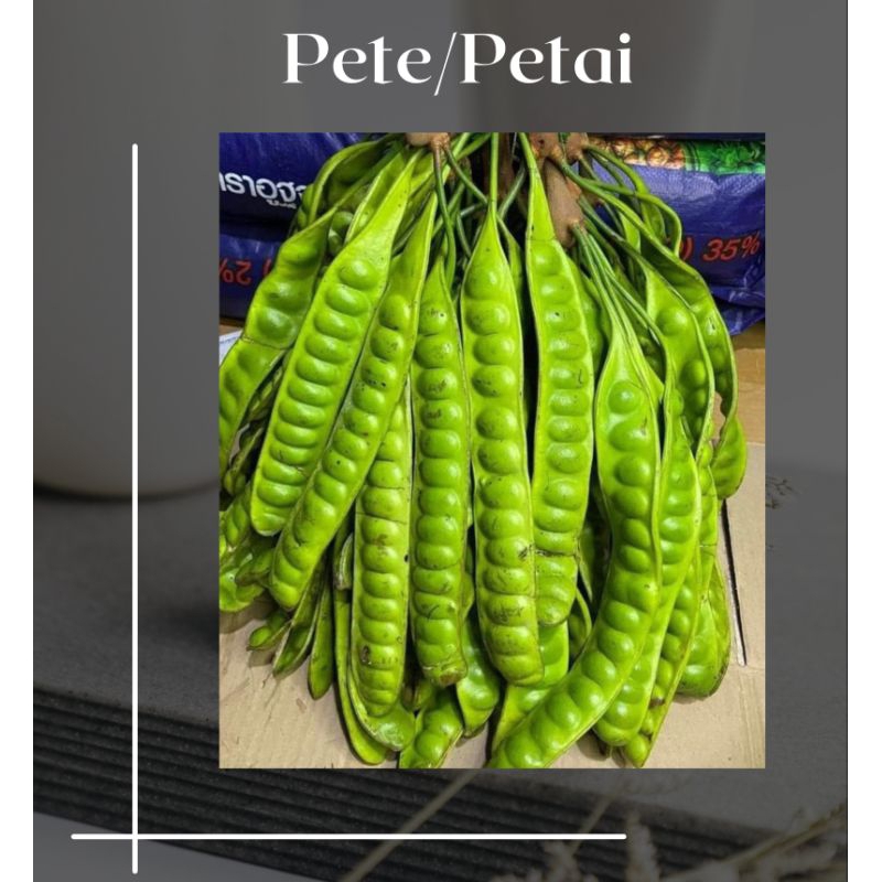 

Pete atau Petai