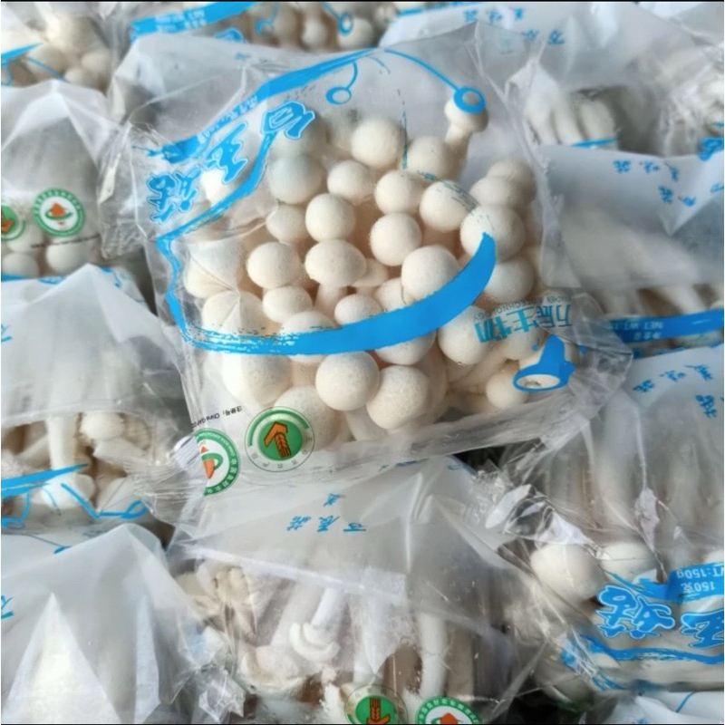 

jamur shimeji 1 box 6kg fresh import