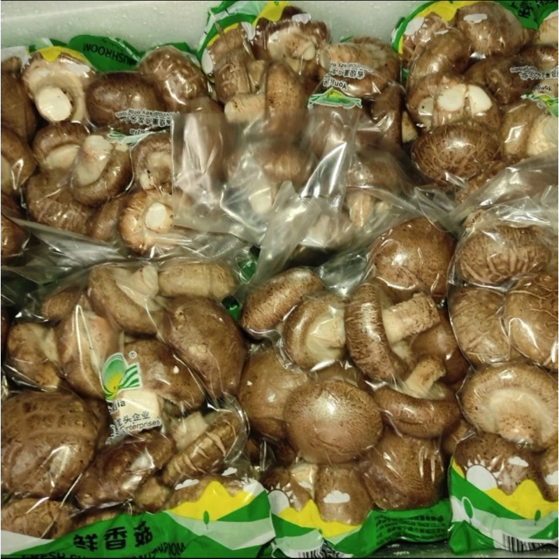 

jamur hioko /shitake fresh import 1 dus