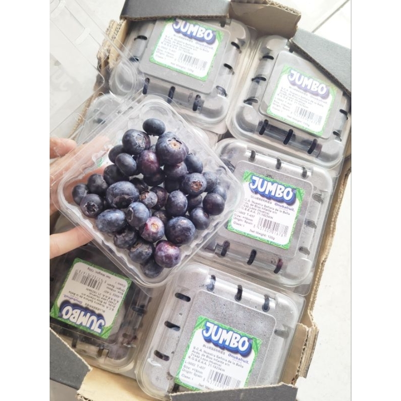 

Blueberry jumbo