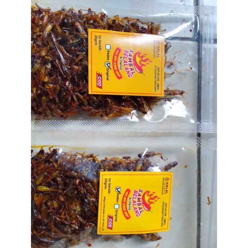 

SAMBELBELALANG20gram