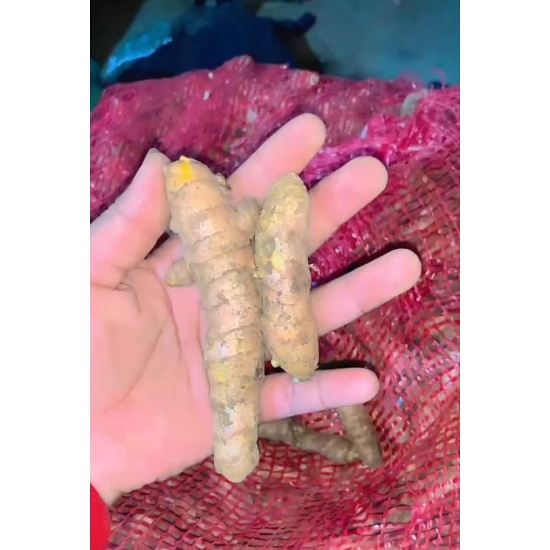 

kunyit koneng super 1 kg