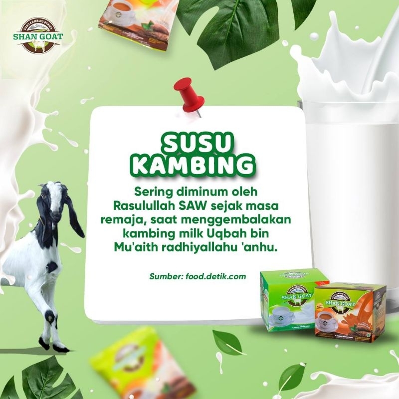 

susu kambing shangoat