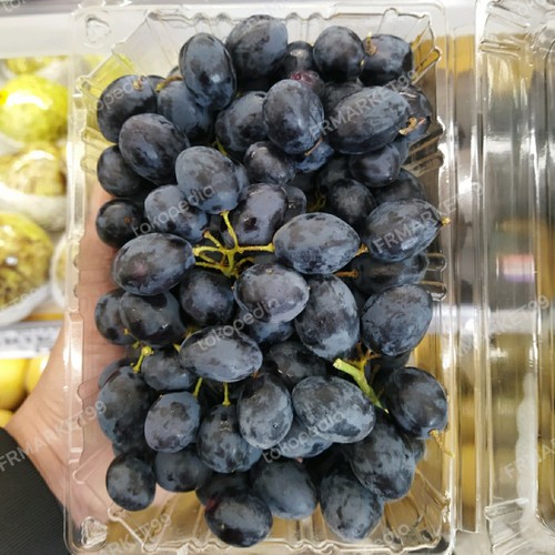 

ANGGUR AUTUM ROYAL USA (600G - 700G)