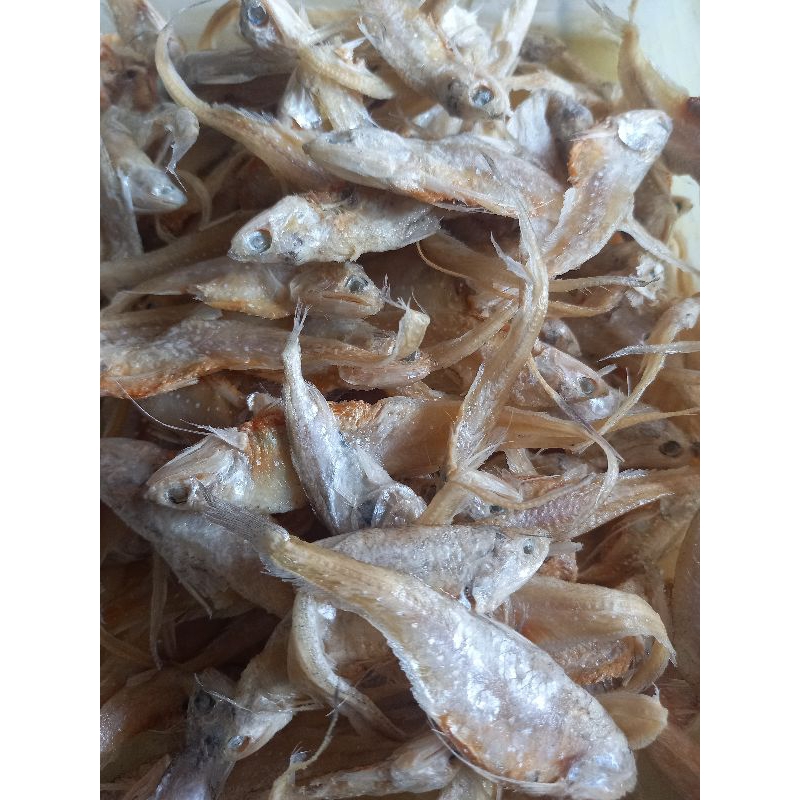 

IKAN ASIN BULU AYAM