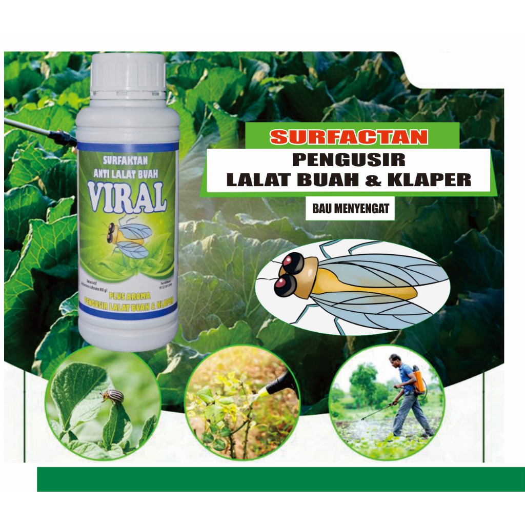Surfatan Anti Lalat Buah Viral
