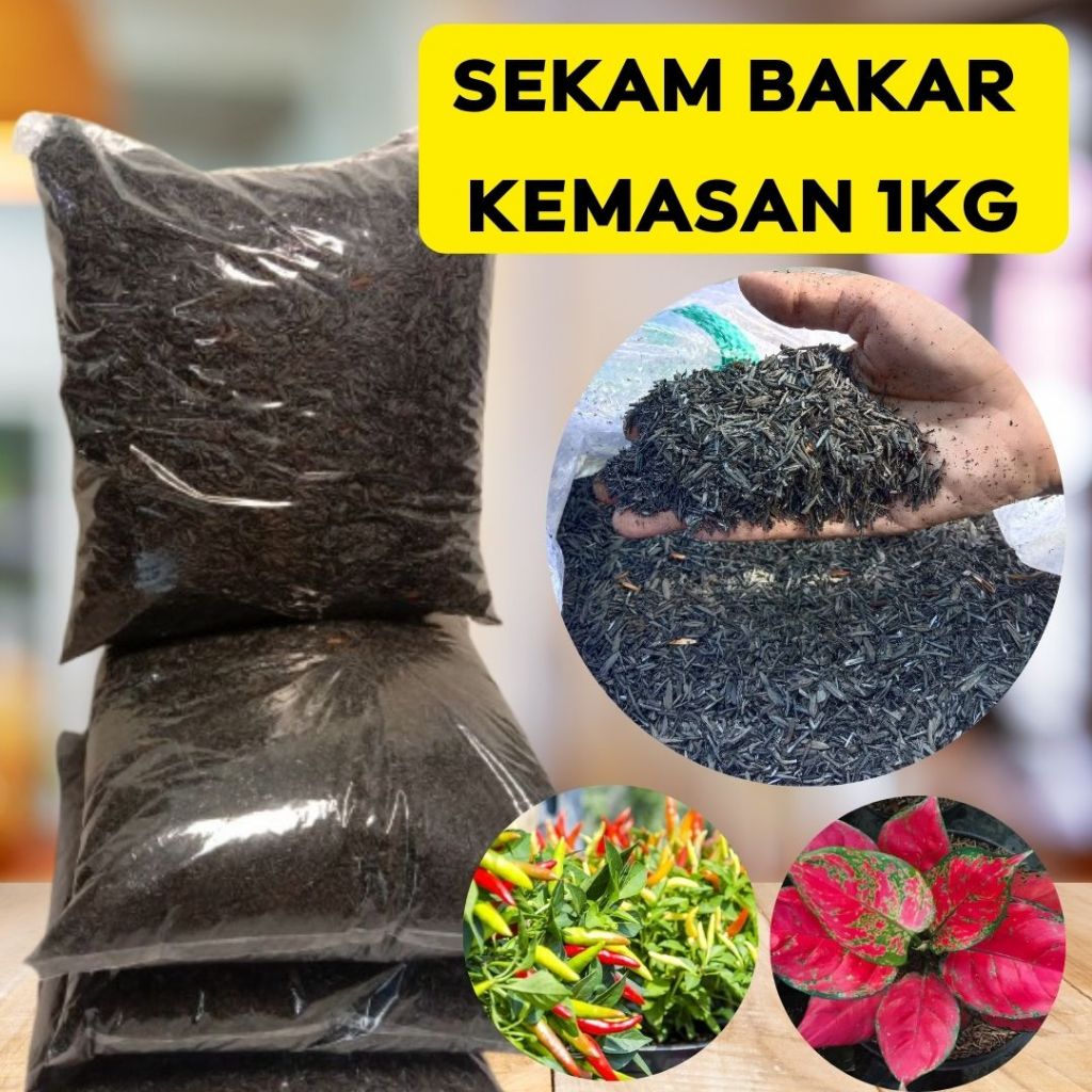 Arang sekam bakar 1kg - arang sekam media tanam hidroponik MURAH