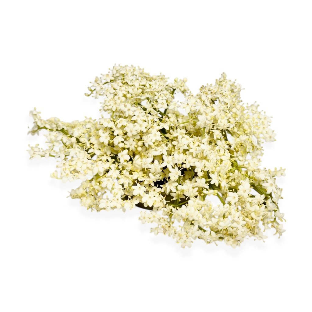 

EDIBLE FLOWER Elder 40 gr – Fresh Elder – Bunga dapat dimakan - Kropnation