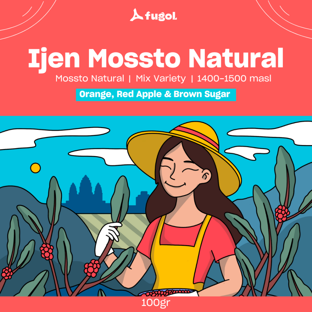 

Biji Kopi Arabika IJEN MOSSTO NATURAL (100 gram) Single Origin