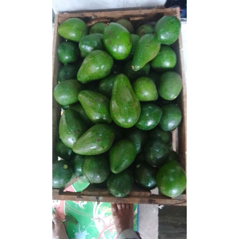 

ALPUKAT MENTEGA LOKAL 1KG ISI 4/5/6 TERMURAH!!!