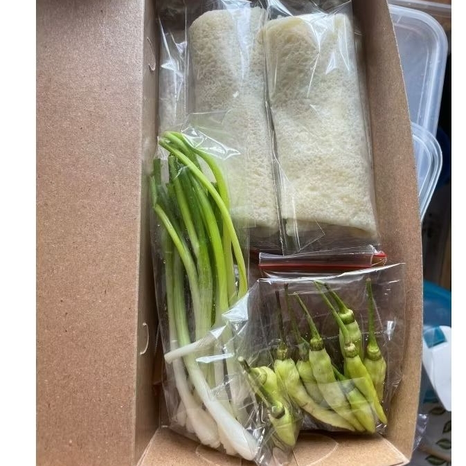 

Lumpia Rebung / Lumpia Sayur