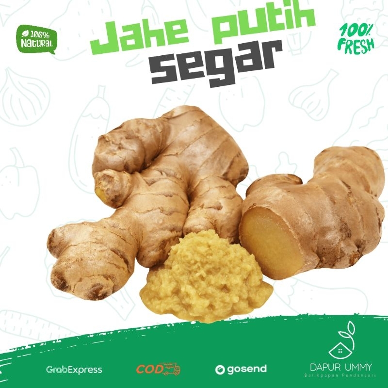 

REMPAH • Jahe Segar • Jahe Putih