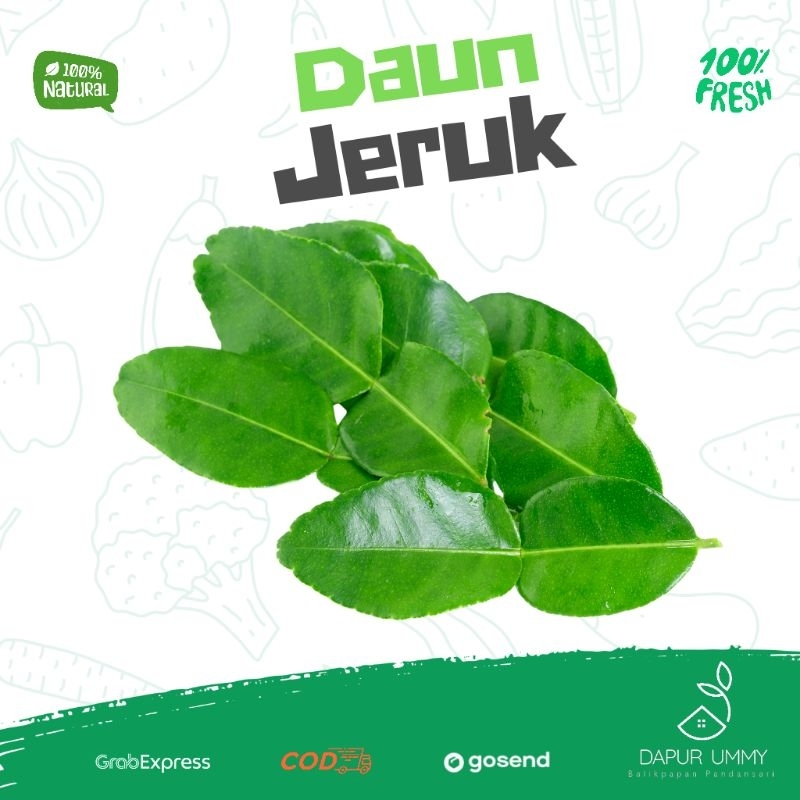 

SAYUR FRESH • Daun Jeruk • Daun Lime