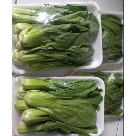 

Pakcooy 200 gram