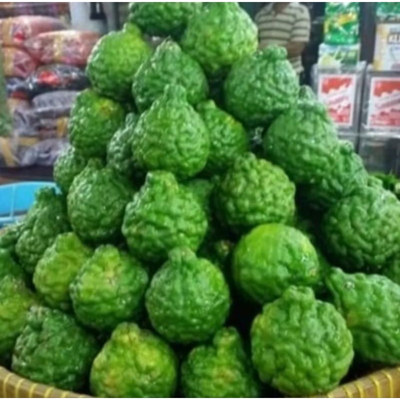 

jeruk purut besar 500gram