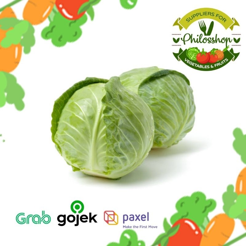 

CABBAGE IMPORT / KOL HIJAU IMPORT / KOL HIJAU