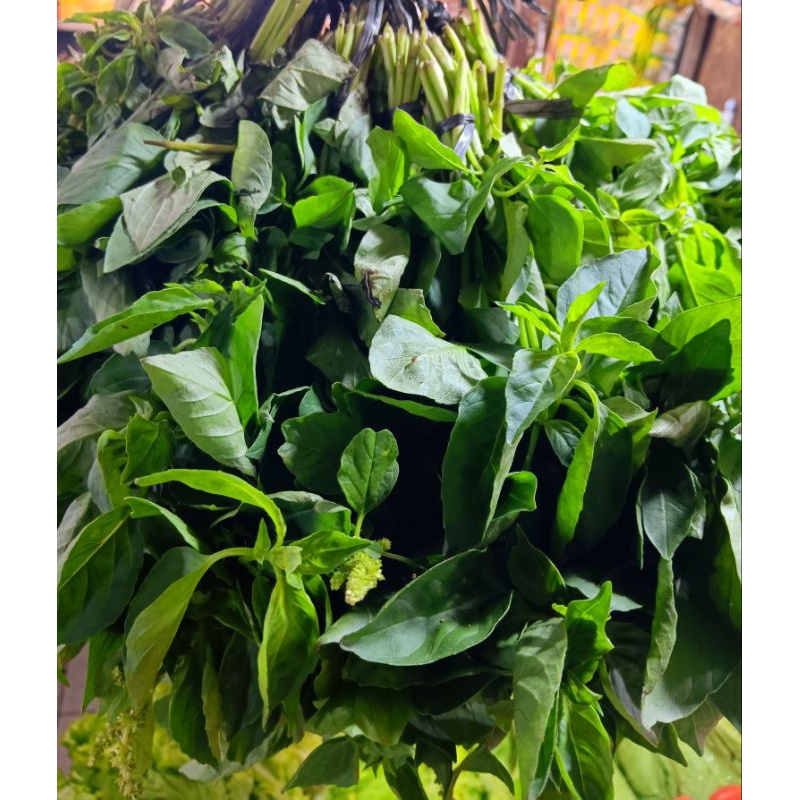 

daun kemangi segar 1ikat